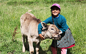 FONCREAGRO - Promoción del empleo 1
